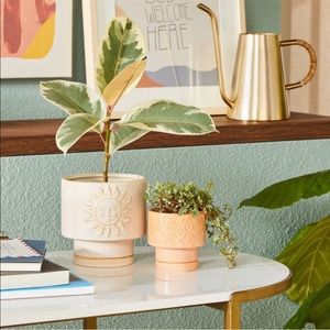 Set of 2 Terra Cotta Planter - Opalhouse Designed with Jungalow